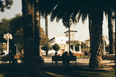 Fujifilm 200 · 35 mm · 36 exposiciones